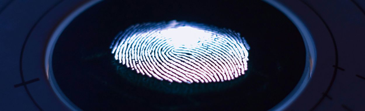 Interpol Red Notices and Extradition: What Happens After an International Alert